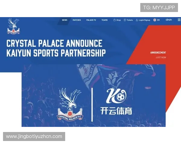 开云体育网站官方入口官方授权，保障用户体验与账户安全的最佳选择